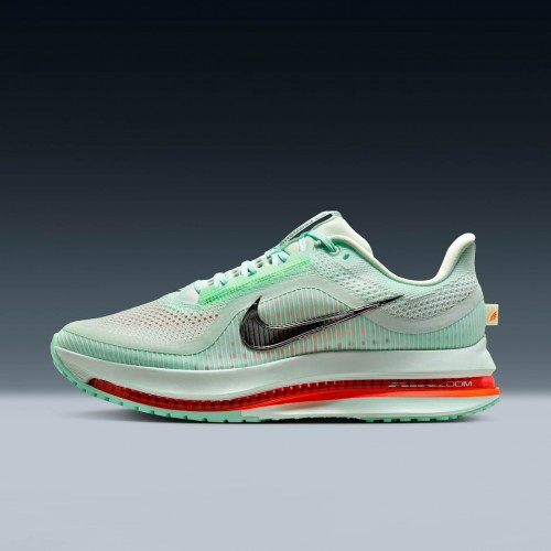 Nike Pegasus Premium Nike Pegasus Premium