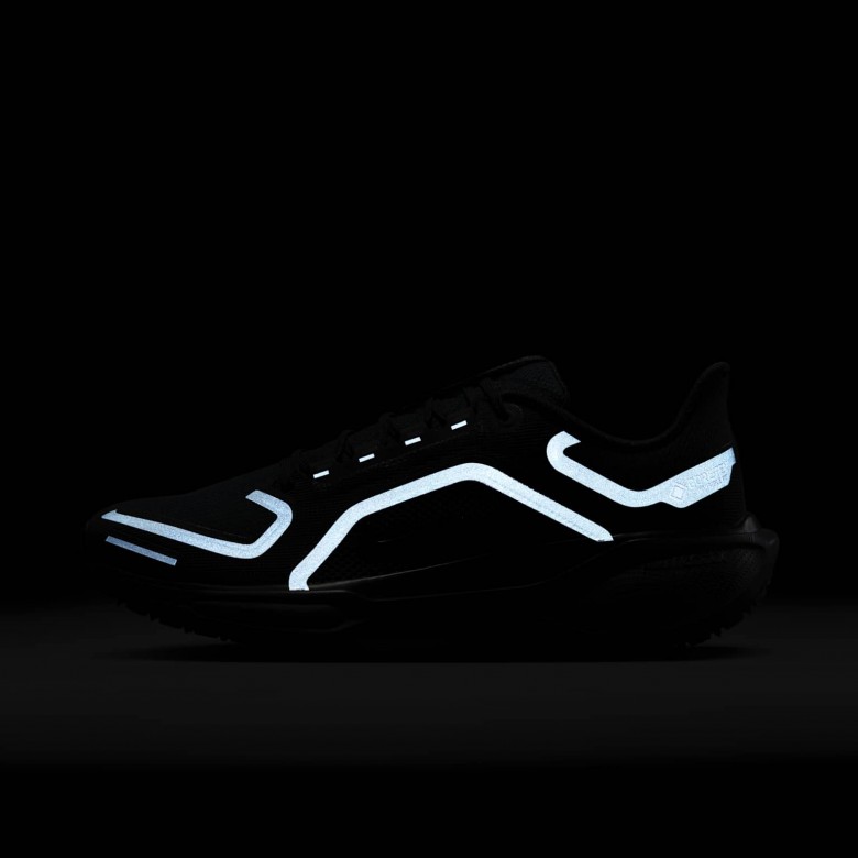 Nike Pegasus 41 GORE-TEX Nike Pegasus 41 GORE-TEX