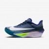 Nike Zoom Fly 6