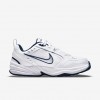 Nike Air Monarch IV
