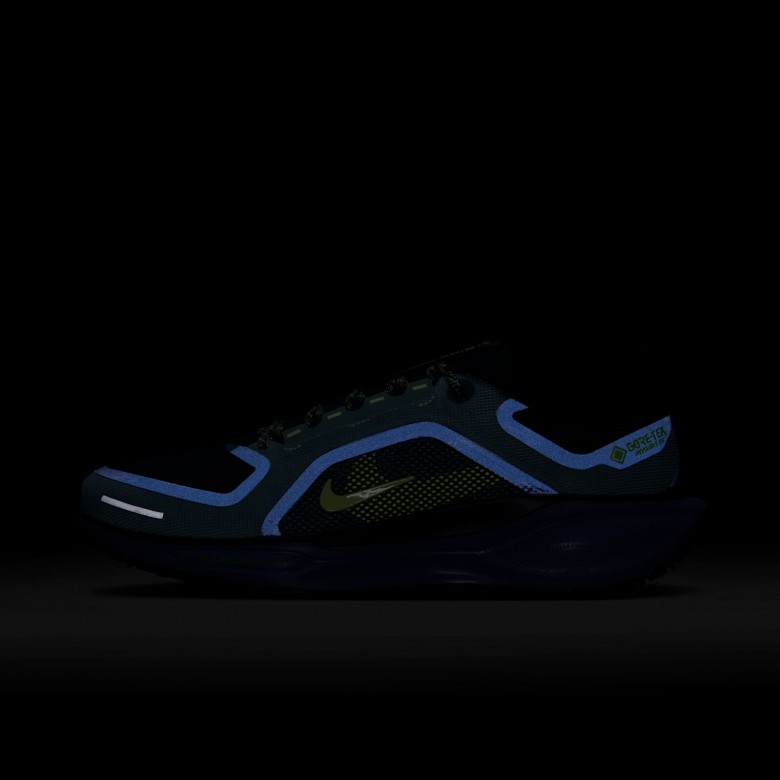 Nike Pegasus 41 GORE-TEX Nike Pegasus 41 GORE-TEX