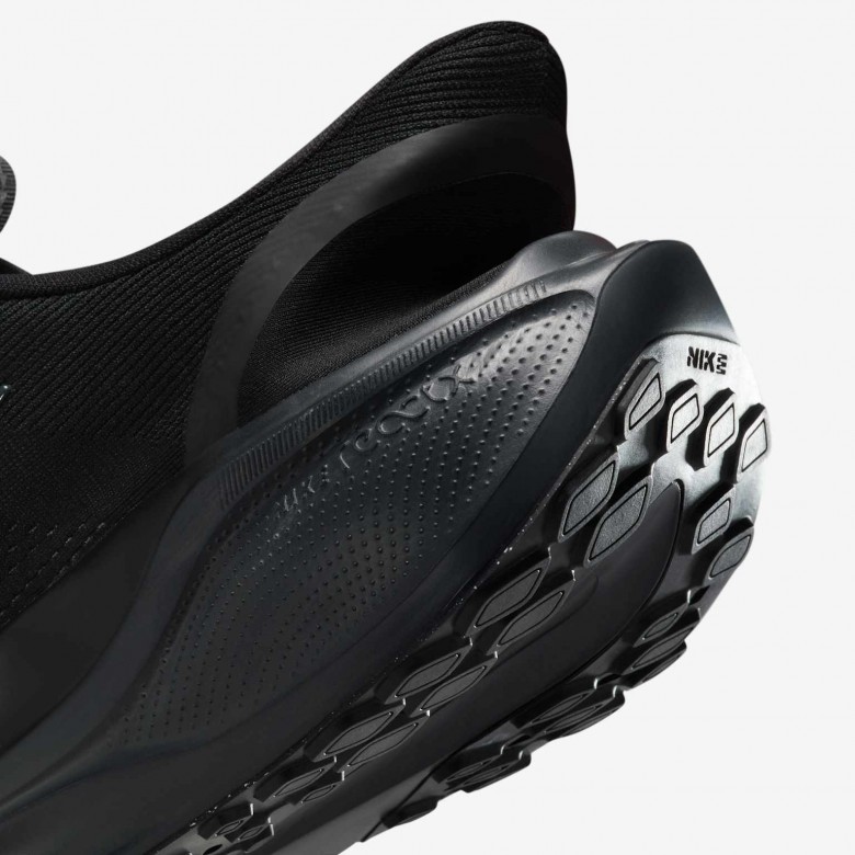 Nike Pegasus EasyOn Nike Pegasus EasyOn