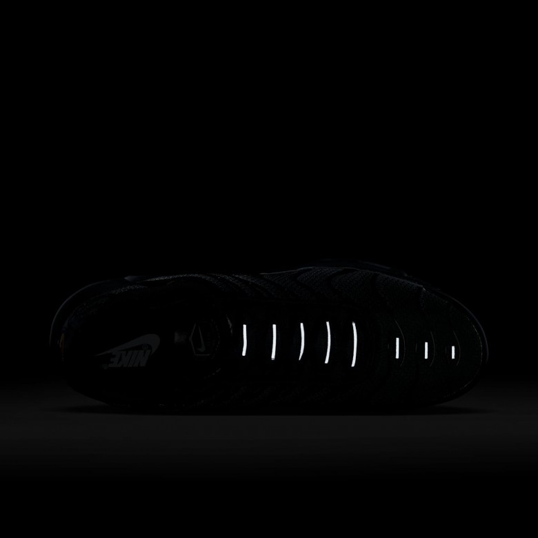 Nike Air Max Plus Nike Air Max Plus