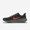 Nike Pegasus 41 By