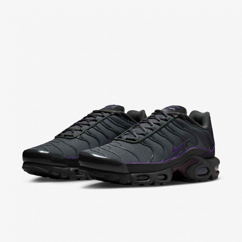 Nike Air Max Plus OG Nike Air Max Plus OG