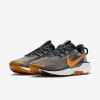 Nike Pegasus Trail 5