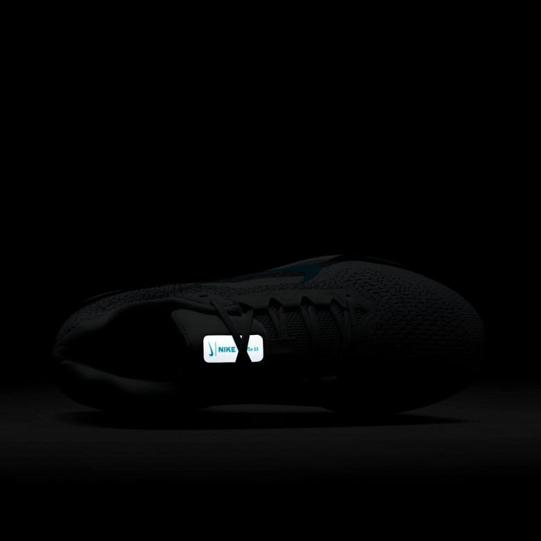 Nike Winflo 11 Nike Winflo 11