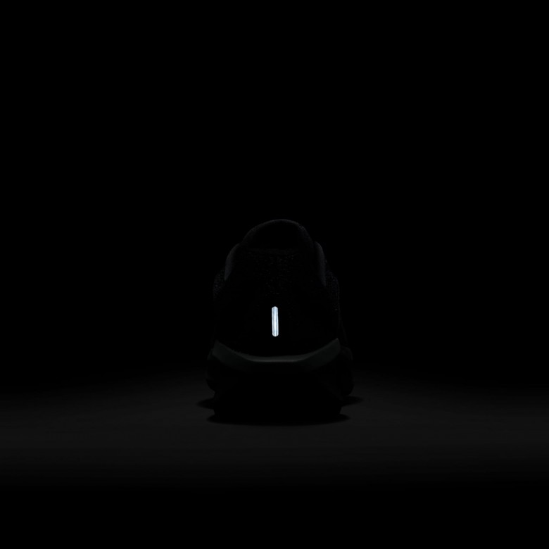 Nike Winflo 11 Nike Winflo 11