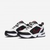 Nike Air Monarch IV