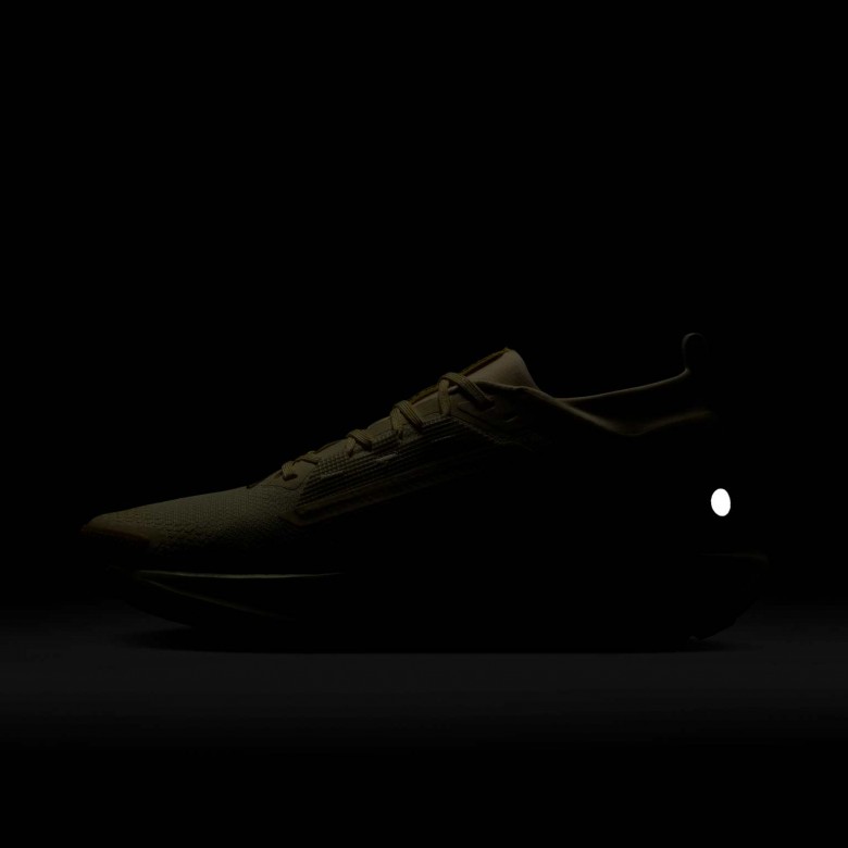 Nike Pegasus Trail 5 GORE-TEX Nike Pegasus Trail 5 GORE-TEX