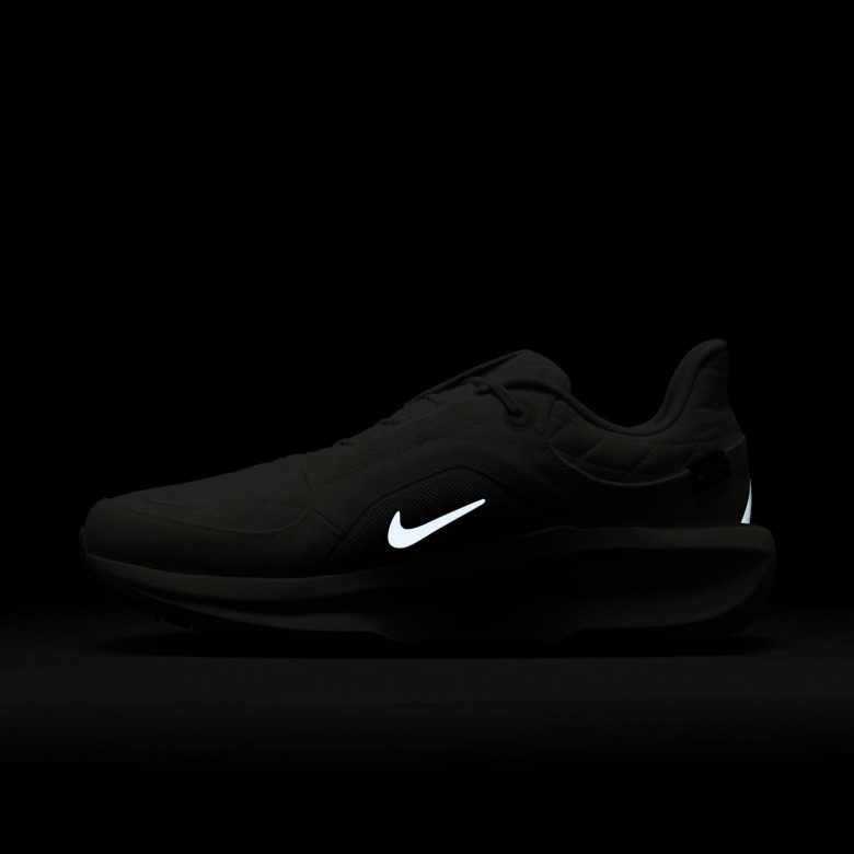 Nike Winflo 11 GORE-TEX Nike Winflo 11 GORE-TEX