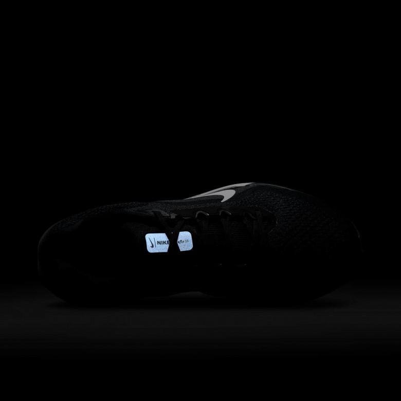 Nike Winflo 11 Nike Winflo 11