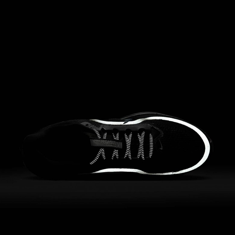 Nike Pegasus Premium Nike Pegasus Premium