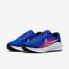 Nike Downshifter 13