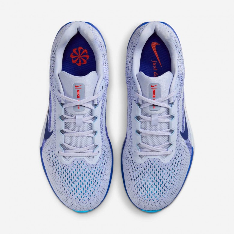 Nike Winflo 11 Nike Winflo 11