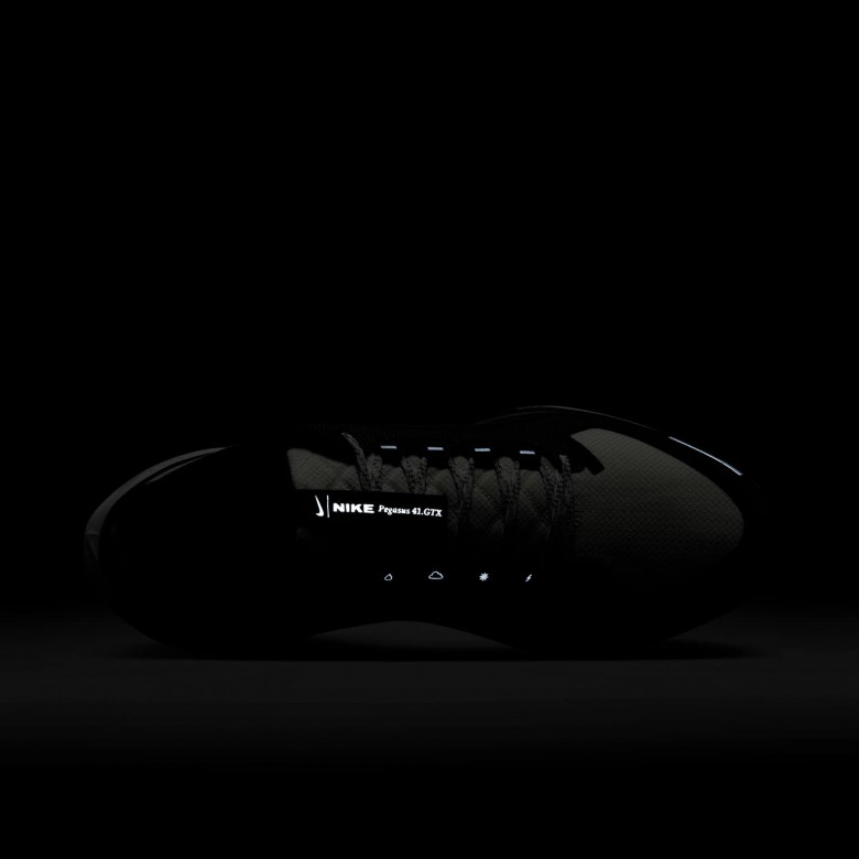 Nike Pegasus 41 GORE-TEX Nike Pegasus 41 GORE-TEX