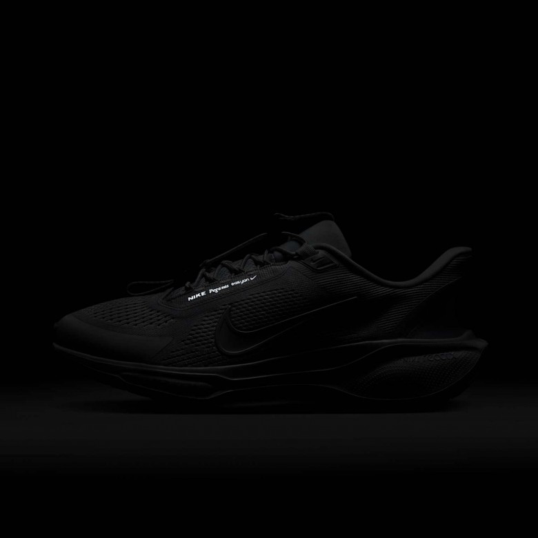 Nike Pegasus EasyOn Nike Pegasus EasyOn