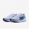 Nike Pegasus 41