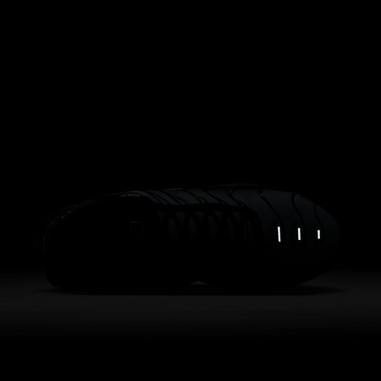 Nike Air Max Plus Nike Air Max Plus