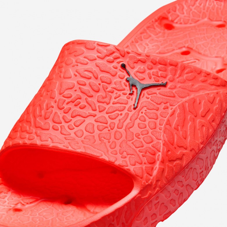 Jordan Franchise Jordan Franchise