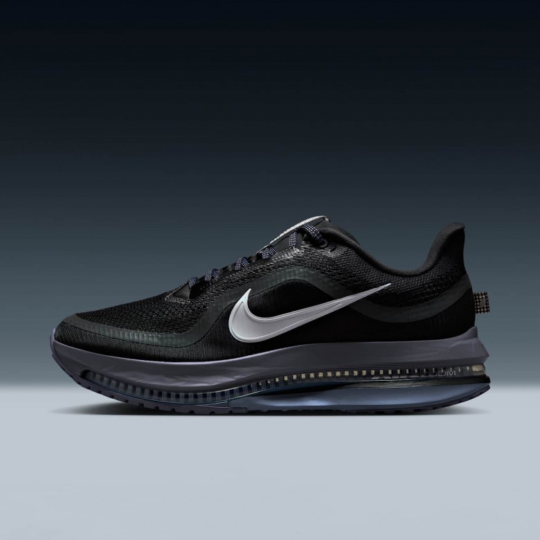 Nike Pegasus Premium Nike Pegasus Premium