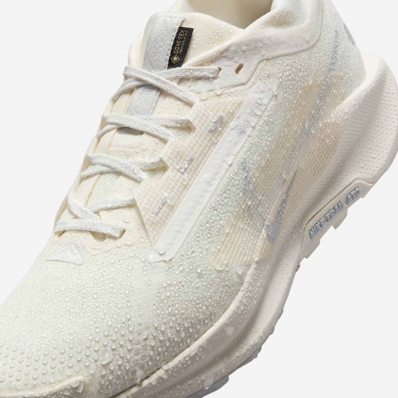 Nike Pegasus Trail 5 GORE-TEX Nike Pegasus Trail 5 GORE-TEX