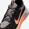 Nike Wildhorse 10