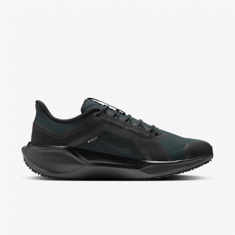 Nike Pegasus 41 GORE-TEX Nike Pegasus 41 GORE-TEX