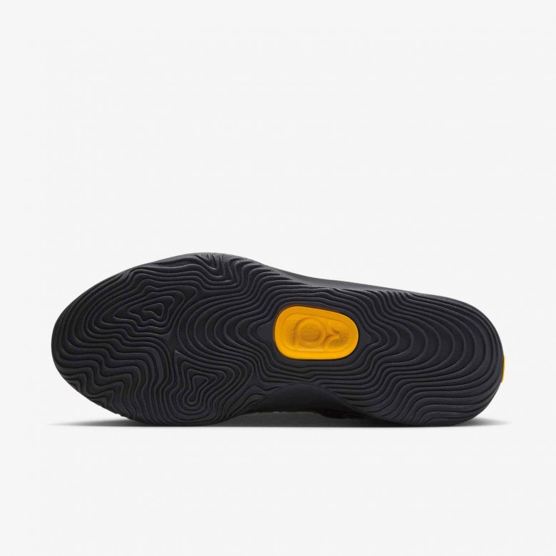 KD18 "New Dawn" KD18 "New Dawn"