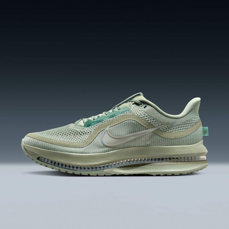 Nike Pegasus Premium Nike Pegasus Premium