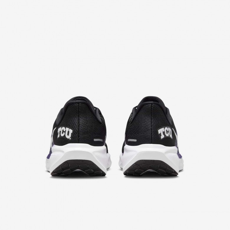 TCU Pegasus 41 TCU Pegasus 41