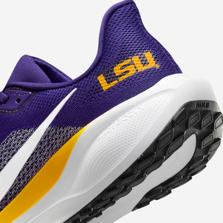 LSU Pegasus 41 LSU Pegasus 41
