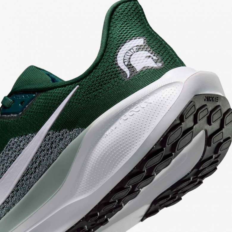 Michigan State Pegasus 41 Michigan State Pegasus 41