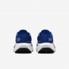 Buffalo Bills Pegasus 41