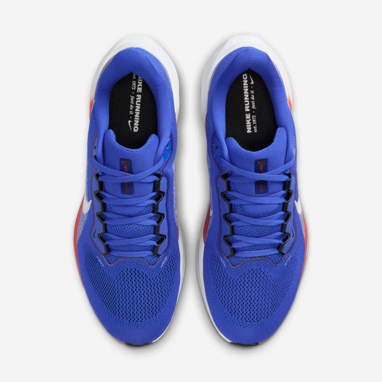 Florida Pegasus 41 Florida Pegasus 41