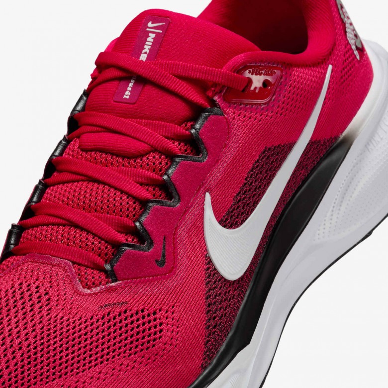 Ohio State Pegasus 41 Ohio State Pegasus 41