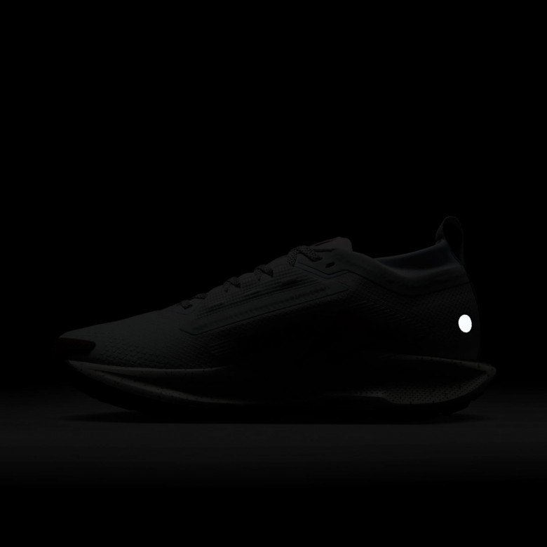 Nike Pegasus Trail 5 GORE-TEX Nike Pegasus Trail 5 GORE-TEX