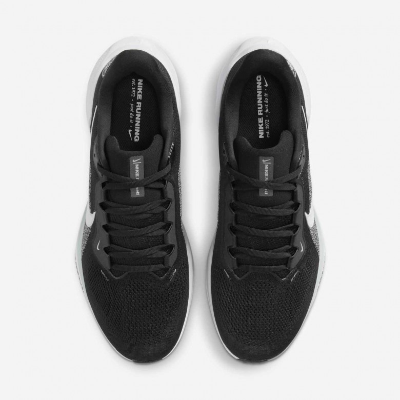 Las Vegas Raiders Pegasus 41 Las Vegas Raiders Pegasus 41