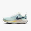 Nike Pegasus 41
