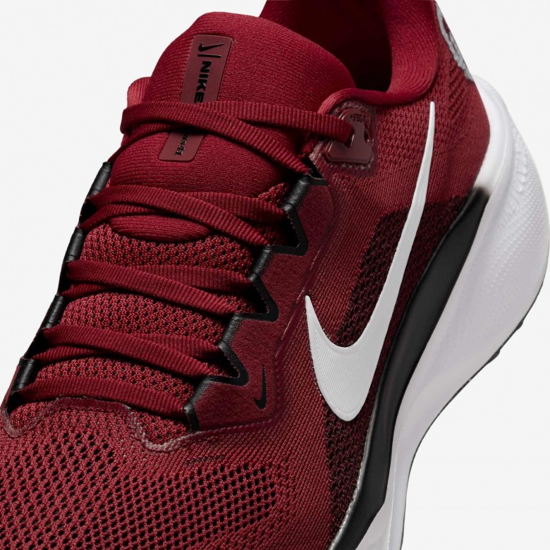 Oklahoma Pegasus 41 Oklahoma Pegasus 41