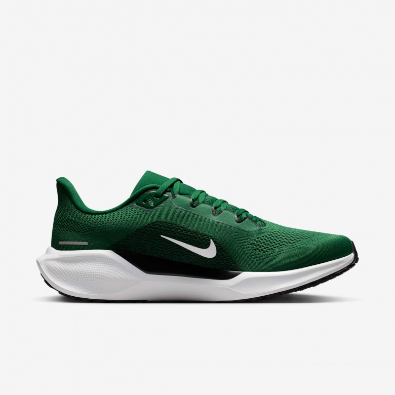 New York Jets Pegasus 41 New York Jets Pegasus 41