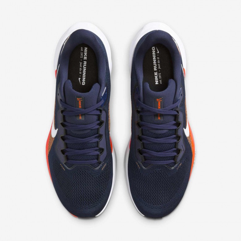 Denver Broncos Pegasus 41 Denver Broncos Pegasus 41