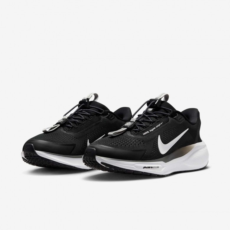 Nike Pegasus EasyOn Nike Pegasus EasyOn