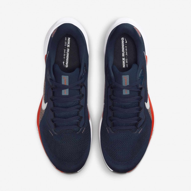 Chicago Bears Pegasus 41 Chicago Bears Pegasus 41