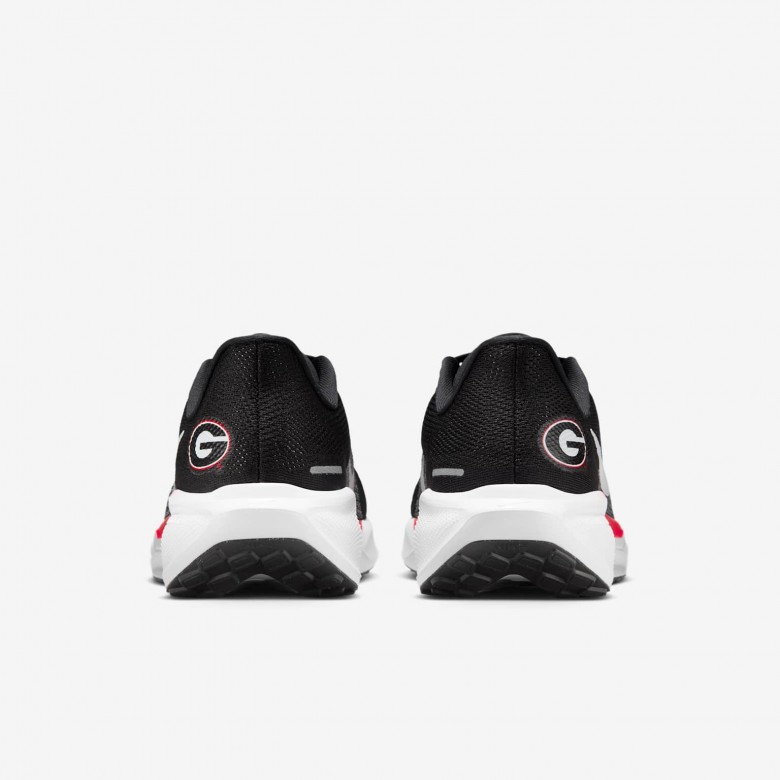 Georgia Pegasus 41 Georgia Pegasus 41