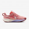 Nike Pegasus Trail 5