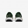 Green Bay Packers Pegasus 41