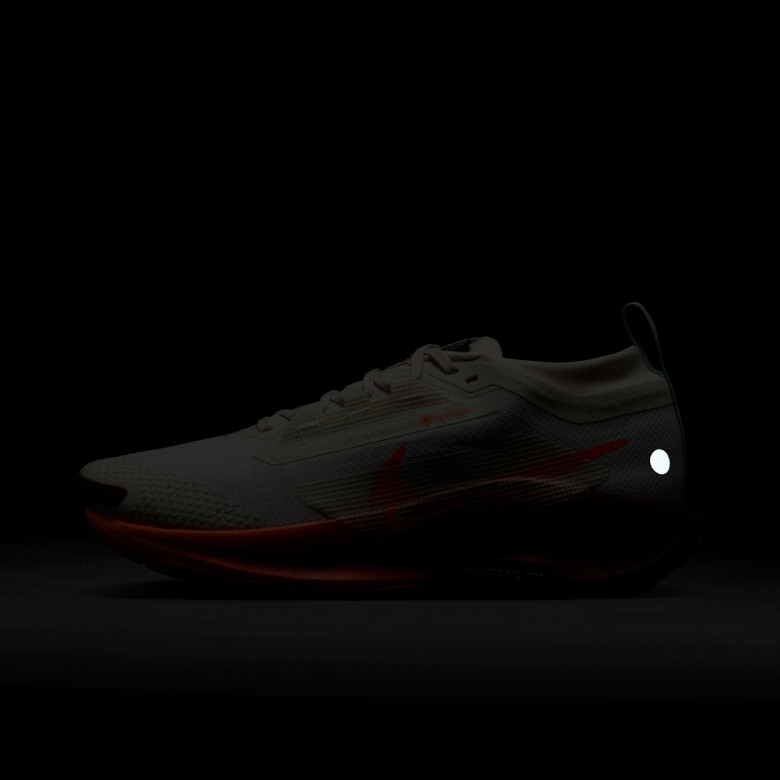 Nike Pegasus Trail 5 GORE-TEX Nike Pegasus Trail 5 GORE-TEX