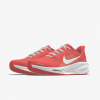Nike Pegasus 41 By
