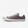 Converse Chuck Taylor All Star Low Top